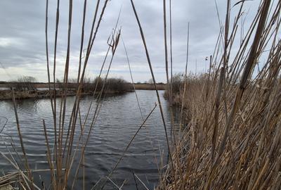 Teren 2500 mp – Izvorani | Deschidere directa la lac - 4