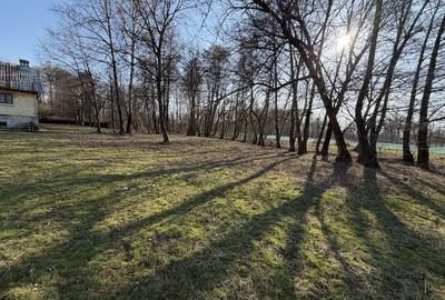 Spațiu comercial, în Peștișani - 11