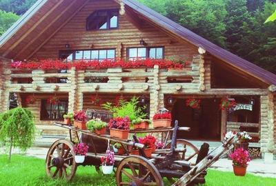 Casă cu 11 camere cu Teren 2000 Mp în Mălini - 1