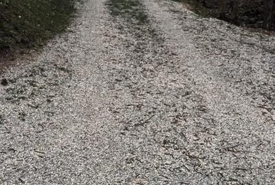 Casă cu 4 camere în Dumbrava - 3