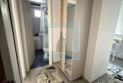 Apartament cu 2 camere decomandat, mobilat în Drumul Carului - 3