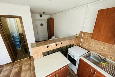 Garsonieră decomandată în Tudor - 1