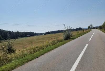 Teren de 12500 mp, în Central - 4