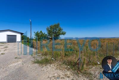Hala de inchiriat, Sat Valea Seaca, Com. N. Balcescu,... - 11
