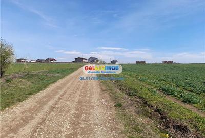Teren Construcții intravilan de 5000 mp, în Balotești - 4