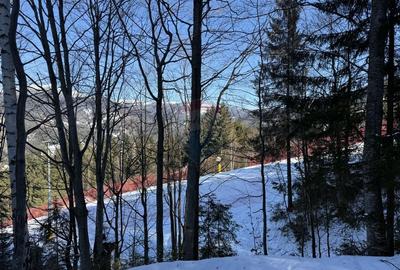 Cabana in inima muntilor,acces la partia de schi din Borsa,teren2200mp Cabana in inima muntilor,acces la partia de schi din Borsa,teren2200mp - 20