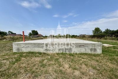 Teren de 700mp cu fundatie si proiect casa 80mp, in Jebel - 2