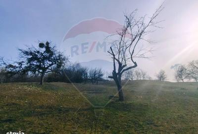 Spațiu comercial, în Remecioara - 2