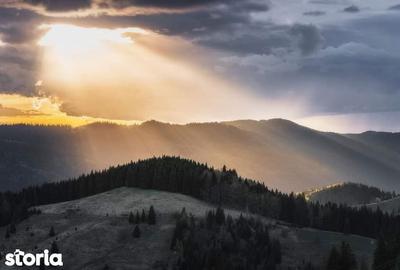 Teren de 26350 mp, în Vama - 5