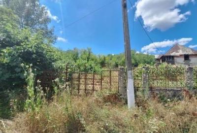 Teren de 7400 mp, în Afânata - 1