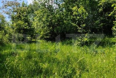 Teren de 4125 mp, în Fieni - 2