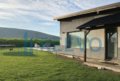 Proprietate pentru investi?ie cu Piscina in Hemeiu? - 2