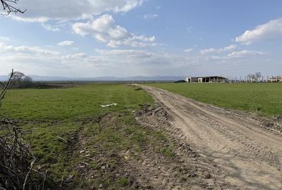 Teren de 130000 mp, în Armeni - 5