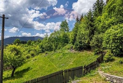 Casă individuală cu 20 camere cu Teren 10330 Mp în Central - 22