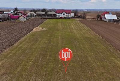 Teren de 6848 mp, în Baia - 13