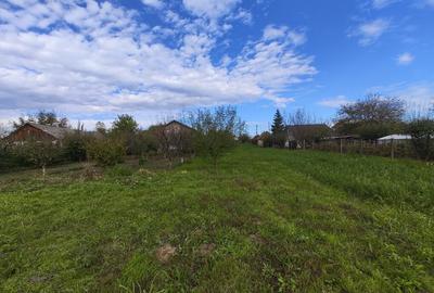 Teren Intravilan Miroslava 1640mp - 1