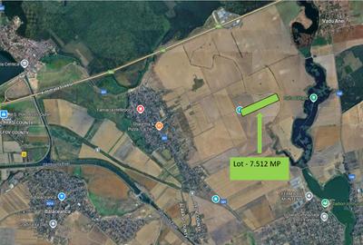 Teren agricol extravilan de 7512 mp, în Cernica