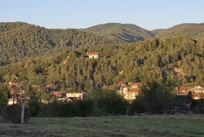 Teren Construcții intravilan de 1000 mp, în Central - 1