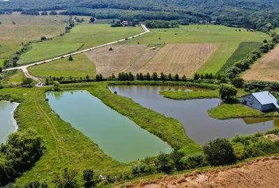 Teren agricol intravilan de 31500 mp, în Negrești (Bâra) - 9