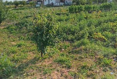 Casă cu 2 camere cu Teren 85 Mp în Central - 4