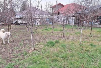 Casă cu 3 camere cu Teren 900 Mp în Budăi - 1