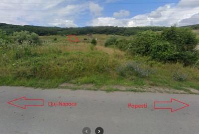 Teren 3100 de vanzare Valea Seaca / Popesti / Baciu - 1