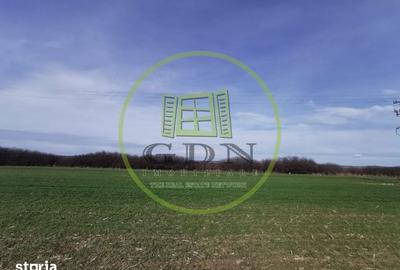 Teren de 21496 mp, în Saca - 8