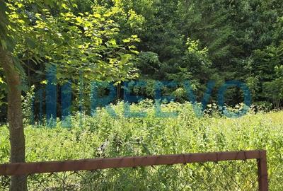 Teren Izvorul Muntelui, Bicaz, la baza traseelor de la Varful Toaca - 7