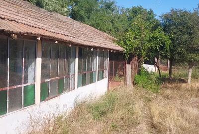 Proprietar, vand casa in comuna Redea, Jud Olt - 1