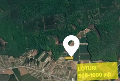 Loturi de teren la padure | 500-1000mp | Izvorani- Snagov