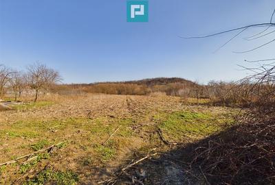 Casa rustica de vanzare in Tau? - 13