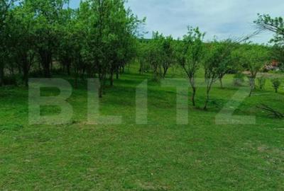 Teren de 3000 mp, în Dej - 1