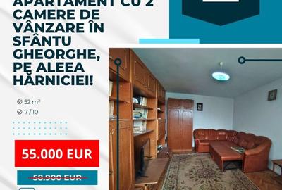 Apartament cu 2 camere de vânzare în Sfântu Gheorghe, pe Aleea Hărniciei! - 10