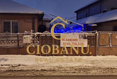 Casa de vanzare zona Campia Islaz - 22