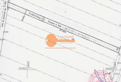 Teren Construcții intravilan de 2953 mp, în Mogoșoaia - 3
