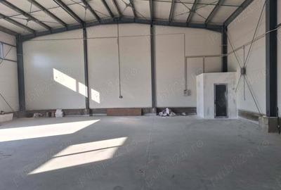 Pantelimon -Tuborg inchiriere spatiu hala - 2