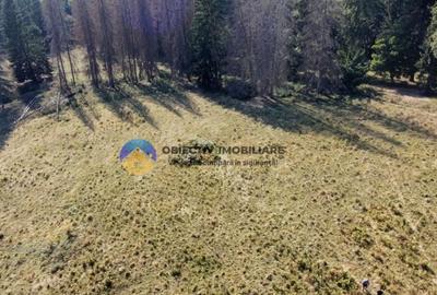 Teren de vanzare 5000 mp Piatra Neam? - 3