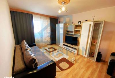 Apartament cu 2 camere decomandat în Lăpuș Argeș - 9