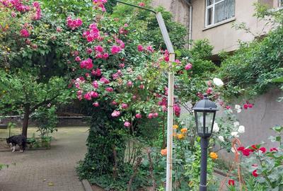 Casă cu 10 camere cu Canalizare în Cișmigiu - 19