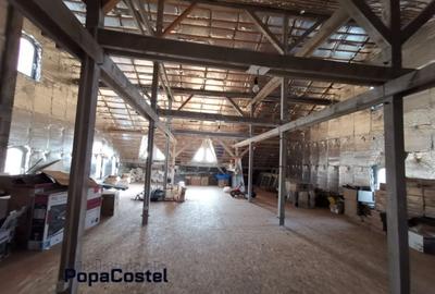 Breaza de Sus vila 487 mp utili S+P+1E+M cu teren 6258 mp - 12