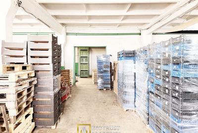 Spațiu industrial, de 589 mp, în Grădiște - 2