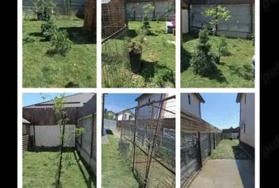 Casă cu 3 camere cu Teren 200 Mp în Berceni - 6