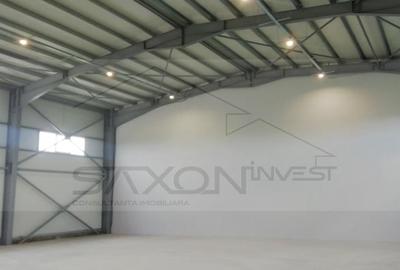 Hala depozitare sau productie   Drumul intre Tarlale,  600MP - 11