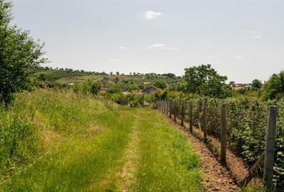 RECO Teren intravilan 1200 mp- front 30ml ,cu utilitati, Pa - 5