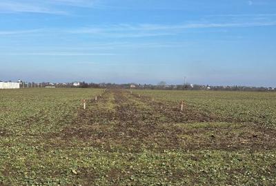 Spațiu comercial, în Domnești