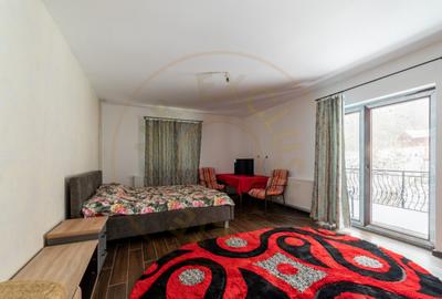 Casa primitoare de inchiriat in Valea Ursului-spa?iu, natu - 10