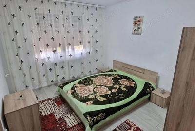 Apartament cu 2 camere semidecomandat, mobilat în Brotăcei - 13