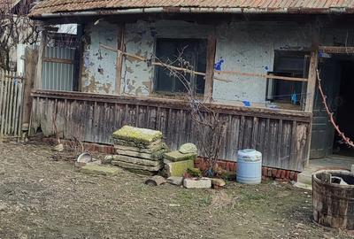 Casă cu 3 camere în Mișca - 2