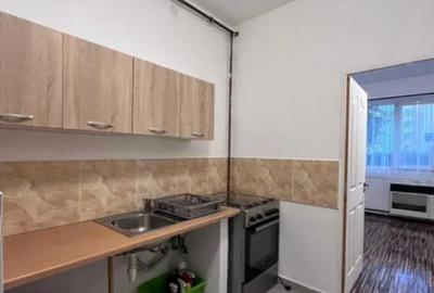 Camera de camin cu baie si bucatarie - zona Noua - 4