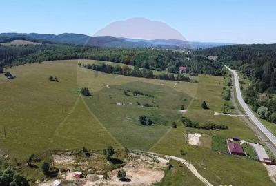 Teren de 5561 mp, în Paltin - 11